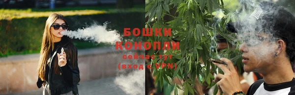 Альфа ПВП Каменногорск